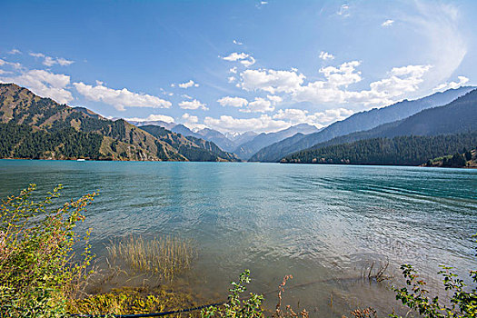 soi cau lo bach thu khung 5 ngay