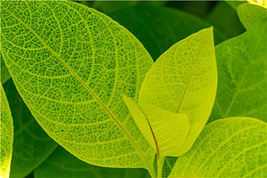 xem xổ số miền bắc ngày hôm nay