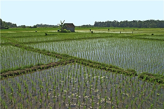 kết quả xổ số thứ hai hàng tuần