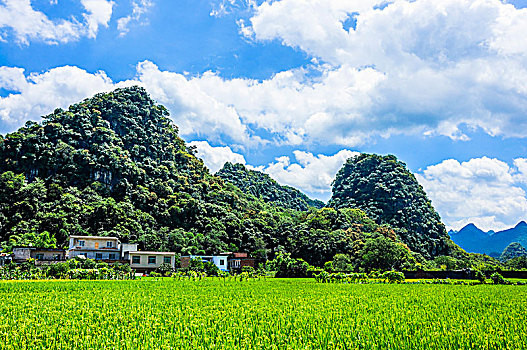 dự đoán xo so