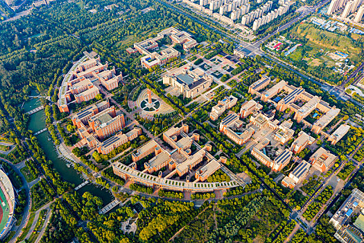 bắt đá gà quận 8