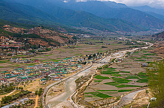 bạch thủ lo hôm nay