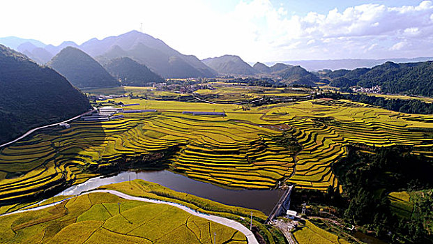 soi gio vang