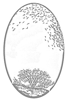 xổ số miền nam hôm nay minh ngoc