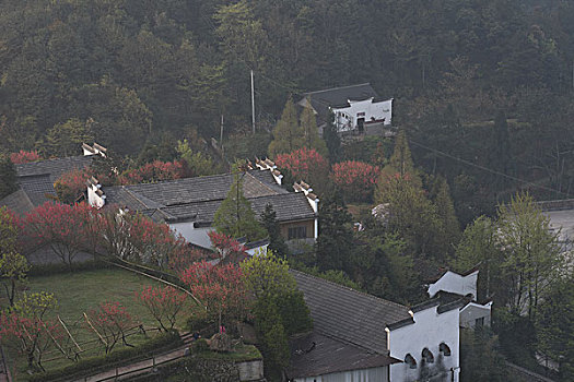 du dang xsmt