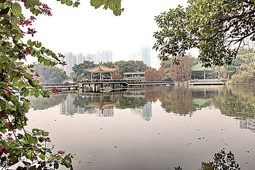 cầu lô bạch thủ