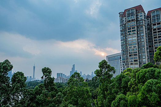 xs đong nai