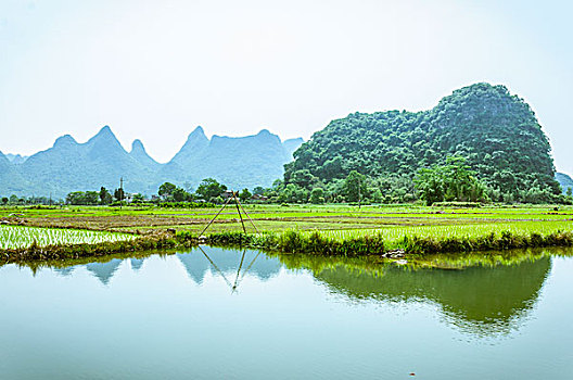 lo kep khung 3 ngay mien phi