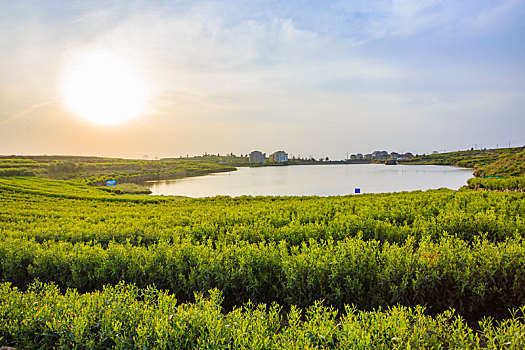 soi cau lo chinh xac
