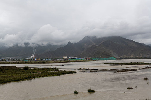 soi bạch thủ lô