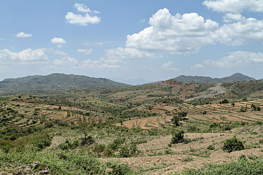 soi cầu 29 hôm nay
