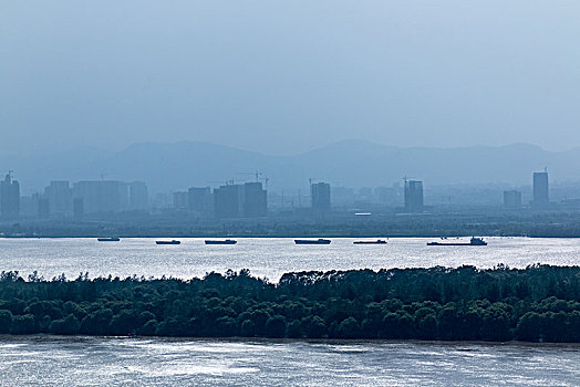 soi cau bac