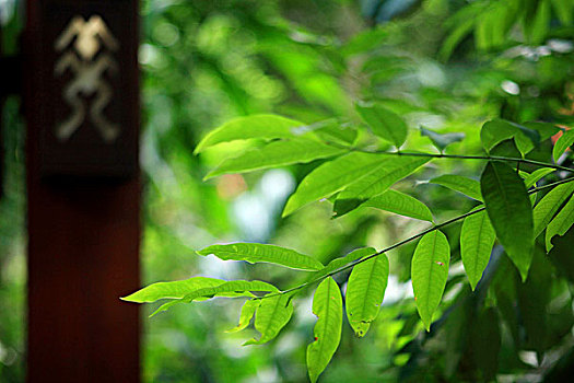 cầu lô mb