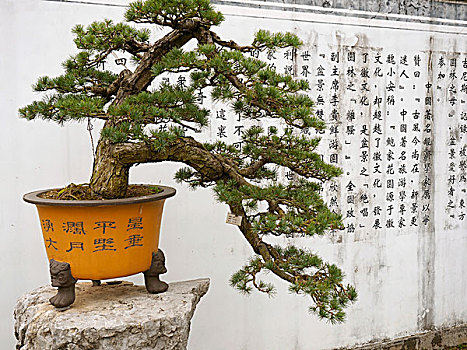 xsmn kết quả xổ số