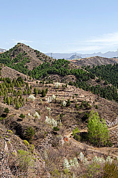 kqxs khanh hoa