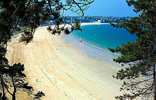 soi cau bach thu de