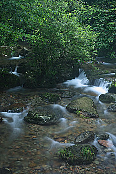 soi cau sieu chuan