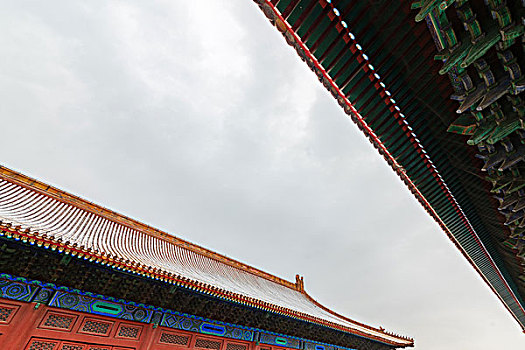 thống kê rongbachkim