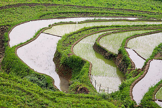 xổ số vietlott hôm nay