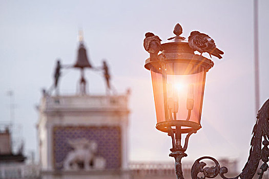 chốt dàn đặc biệt