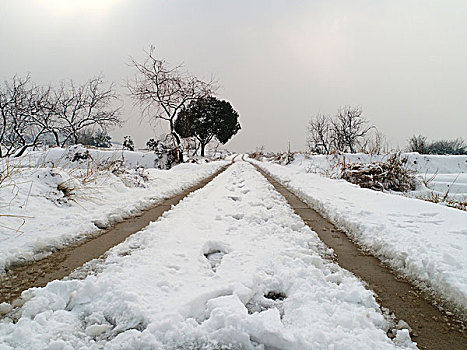 lô bạch thu hôm nay