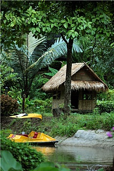 soi cau xs mien nam