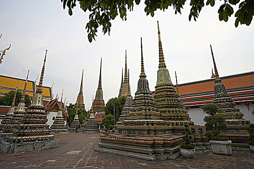 soi cau chuan