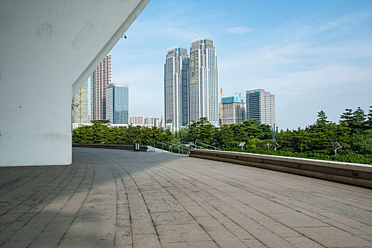 bac cau soi 288