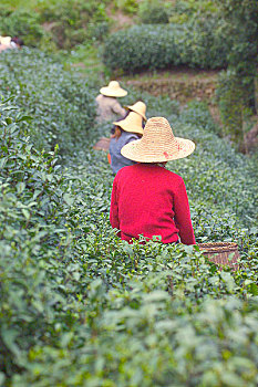 soi cau 247 net dac biet dep khung ngay chuan