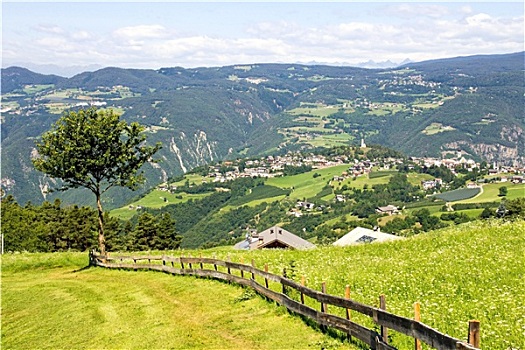 soi cau bach thu xsmb hom nay