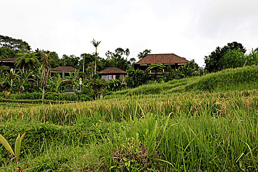 du doan xo so mien nam hom nay