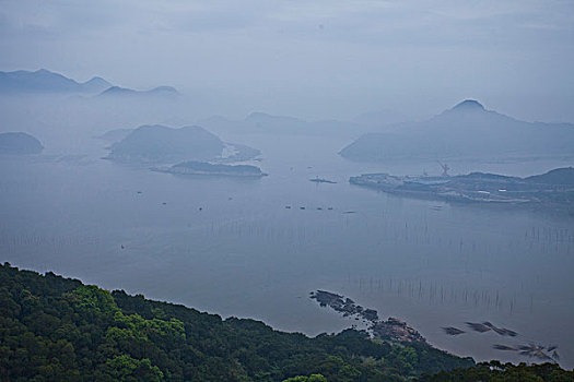 soi cau bach thu tp