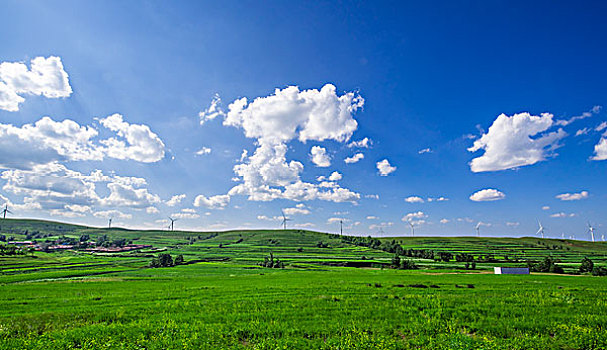 soi cau minh ngoc