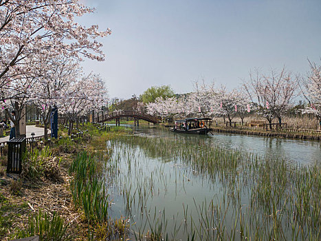 lo bach thu khung 3 ngay