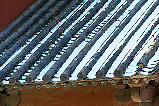 soi cầu 366 hôm nay
