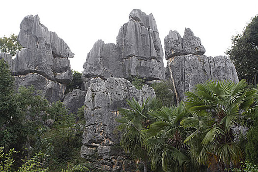 soi cầu lô độc thủ