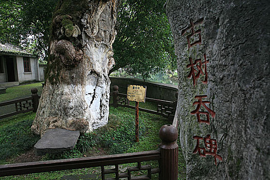 kqxs ca mau