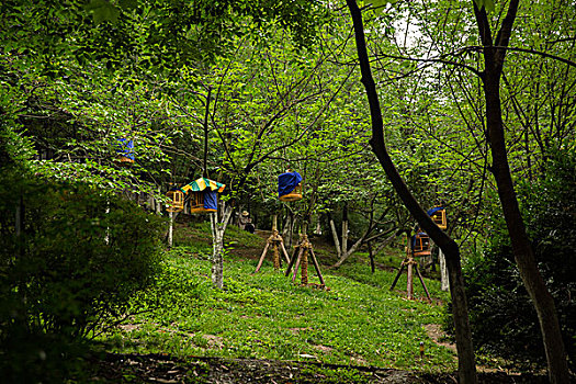 cau bach thu xsmb hom nay
