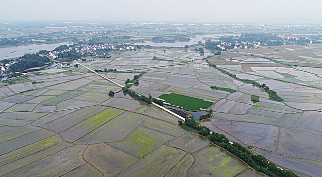 lo bach thu ngay mai