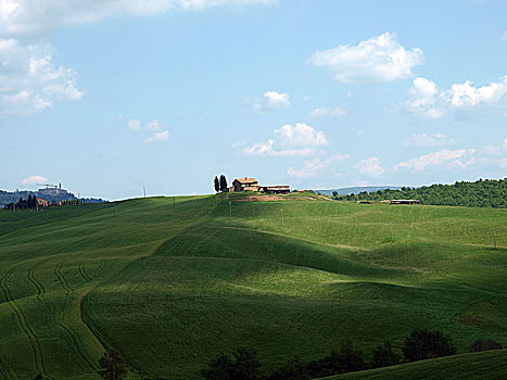 cau bach thu la