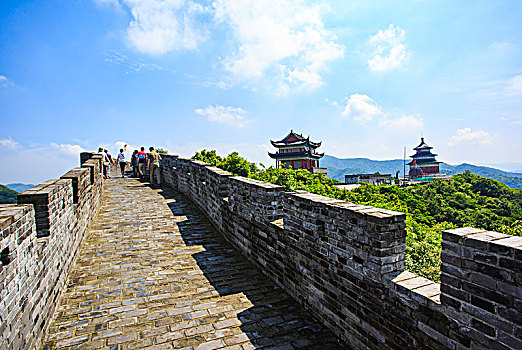 soi rong bach kim
