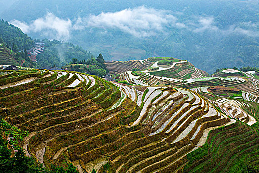 soi cau than tai mb