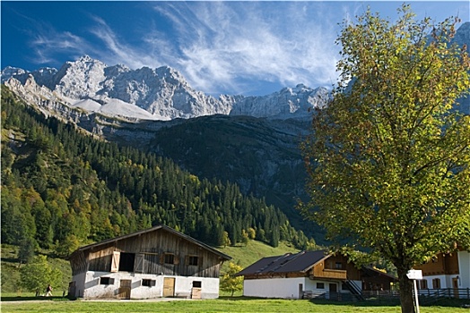 cau pascale