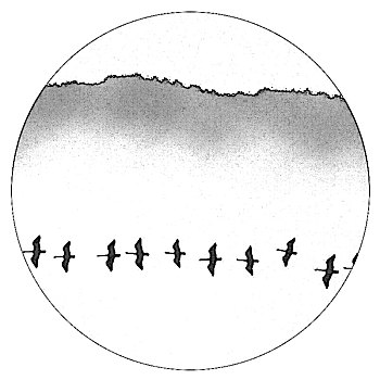 du doan lo