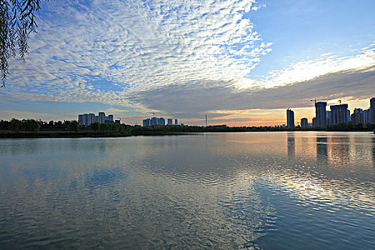thống kê lô theo ngày