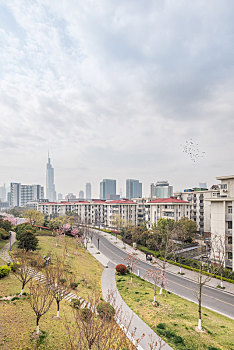 soi cau lo de bach thu mien bac mien phi