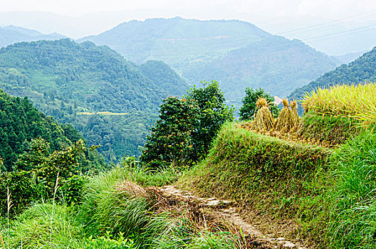 xsmn phuong trang