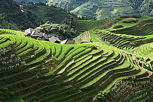 trực tiếp xsmb