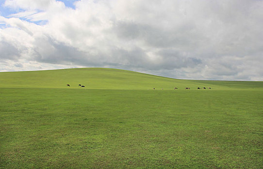 kqxs phu yen