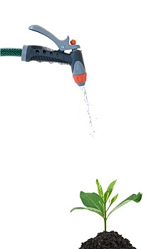 dự đoán xổ số miền bắc ngày